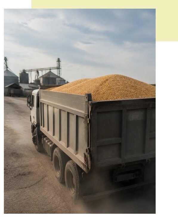 Перевозка сельхозпродукции навалом в Сосновоборск по цене от 3104 р. | Агросервис-Ссб